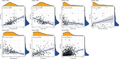 Immunotherapeutic Value of MAP1LC3C and Its Candidate FDA-Approved Drugs Identified by Pan-Cancer Analysis, Virtual Screening and Sensitivity Analysis